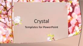  Presentation with paper quilling colorful paper flowers - Audience pleasing presentation theme consisting of orchard planting planting designs - paper blank between flowering almond backdrop and a lemonade colored foreground