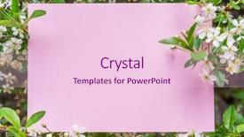  Presentation with cherry blossom - Slide deck consisting of orchard planting planting designs - pink paper blank between cherry background and a lemonade colored foreground