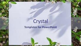  Presentation with cherry blossom - Presentation theme featuring orchard planting planting designs - white paper blank between cherry background and a sky blue colored foreground