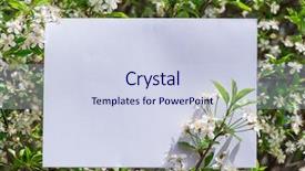  Presentation with cherry blossom - Amazing presentation design having orchard planting planting designs - white paper blank between cherry backdrop and a sky blue colored foreground