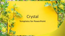  Presentation with notepad blank lined paper - Cool new presentation design with orchard planting planting designs - yellow paper blank between currant backdrop and a yellow colored foreground