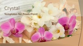  Presentation with bamboo flower - Amazing PPT theme having orchid-and-fresia-flower-spa backdrop and a lemonade colored foreground