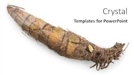  Presentation with bulb - Beautiful presentation theme featuring orchid-back-bulb-isolated backdrop and a white colored foreground