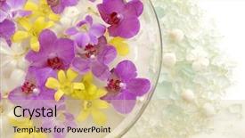  Presentation with orchid - Amazing PPT theme having orchid flower and spa item backdrop and a  colored foreground