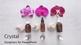  Presentation with beautiful orchid flowers - PPT theme featuring orchid flowers and herbal ball background and a light gray colored foreground