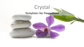  Presentation with balance - PPT theme enhanced with orchid on stack stones in balance and bamboo background and a white colored foreground