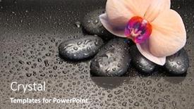  Presentation with water color - Beautiful presentation theme featuring orchid-pink-flower-and-black backdrop and a gray colored foreground