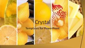  Presentation with orchid - Audience pleasing presentation consisting of orchid spa compositions in collage backdrop and a gold colored foreground