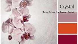  Presentation with pink colour - Presentation design featuring orchid with complimentary colour palette background and a light gray colored foreground