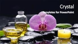  Presentation with fern - PPT theme consisting of orchid with fern oil on pebbles on wet background background and a black colored foreground