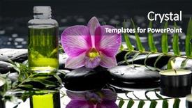  Presentation with pink and green - Cool new PPT theme with orchid with pebbles and green backdrop and a  colored foreground