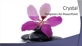  Presentation with pyramid - Slides with orchid with pyramid of stones background and a white colored foreground
