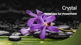 Presentation with purple green - PPT theme enhanced with orchid with row of green background and a black colored foreground