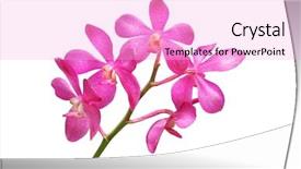  Presentation with orchid - Audience pleasing PPT theme consisting of orchid backdrop and a lavender colored foreground