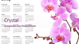  Presentation with pink white - Slide set featuring orchids on white background 2014 background and a sky blue colored foreground