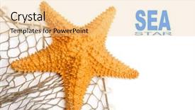  Presentation with fishing net - PPT layouts consisting of oreaster reticulatus on a fishing background and a lemonade colored foreground