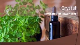  Presentation with oregano - Slide set featuring oregano-essential-oil-and-fresh background and a coral colored foreground