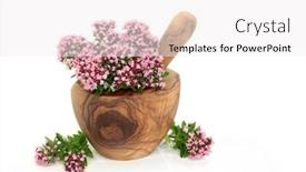  Presentation with symptoms - PPT layouts consisting of oregano-herb-flowers-leaves background and a white colored foreground