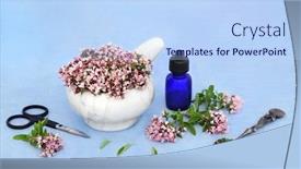  Presentation with symptoms - Audience pleasing presentation consisting of oregano-herb-flowers backdrop and a light blue colored foreground
