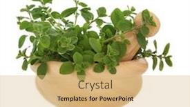  Presentation with oregano - Amazing theme having oregano herb leaf sprigs in a marble mortar with pestle isolated over white background origanum backdrop and a yellow colored foreground
