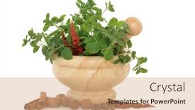  Presentation with allspice - Amazing slides having strong skeleton - big red deer stag cervus backdrop and a sky blue colored foreground.