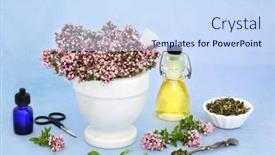  Presentation with symptoms - Slide deck having oregano-naturopathic-herbal-medicine background and a sky blue colored foreground
