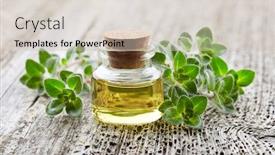  Presentation with oregano - Amazing PPT theme having oregano-plant-with-essential-oil backdrop and a soft green colored foreground