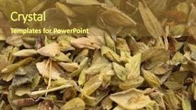  Presentation with oregano - PPT theme with oregano spice closeup on a white background background and a tawny brown colored foreground