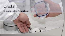  Presentation with animal - Cool new presentation theme with animal organ - medicinal leech-hirudo medicinalis backdrop and a light gray colored foreground