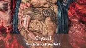  Presentation with butcher - Audience pleasing slides consisting of organ-meats-in-a-plastic backdrop and a tawny brown colored foreground