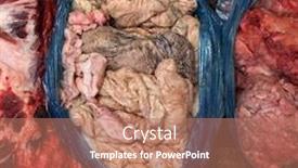  Presentation with butcher - Presentation design with organ-meats-in-a-plastic background and a coral colored foreground