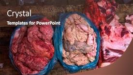  Presentation with butcher - Audience pleasing presentation design consisting of organ-meats-in-a-plastic backdrop and a tawny brown colored foreground