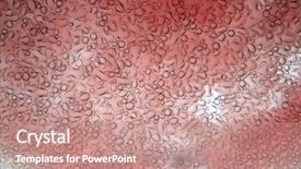  Presentation with human biology - Presentation theme having organelle biology - microscopic view of human blood background and a coral colored foreground