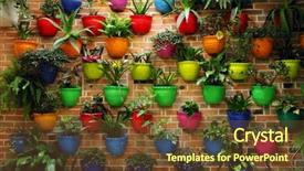  Presentation with flowers - Beautiful presentation theme featuring organic architecture - flowers in pots backdrop and a tawny brown colored foreground