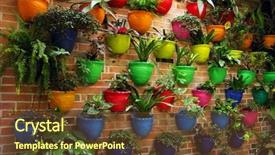  Presentation with flowers - Presentation with organic architecture - flowers in pots background and a tawny brown colored foreground