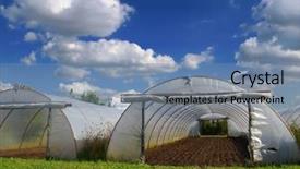  Presentation with hydroponics hydroponic vegetables growing - Slide set consisting of organic architecture - green self-sufficiency - polythene tunnel background and a seafoam green colored foreground