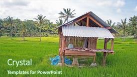  Presentation with organic rice - Cool new slide deck with organic architecture - little hut in the rice backdrop and a tawny brown colored foreground