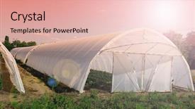  Presentation with solar greenhouse - Colorful PPT theme enhanced with organic architecture - polythene tunnel handmade greenhouse backdrop and a lemonade colored foreground