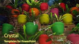  Presentation with flowers - Colorful PPT theme enhanced with organic architecture - potted multicoloured flowers backdrop and a tawny brown colored foreground