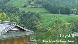  Presentation with organic tea - Slide deck enhanced with organic architecture - tea field and japanese house background and a  colored foreground