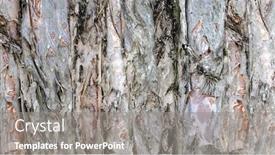  Presentation with organic - Theme with organic bark textures background and a gray colored foreground