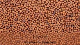  Presentation with protein - Audience pleasing slides consisting of organic-carlin-peas-forming backdrop and a red colored foreground