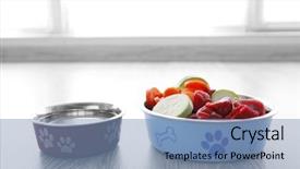  Presentation with dog food - Presentation theme having organic dog food background and a teal colored foreground