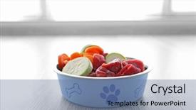  Presentation with dog food - Slide deck with organic dog food background and a seafoam green colored foreground