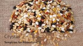  Presentation with organic rice - Theme with organic-dry-multi-grain-rice background and a coral colored foreground