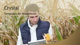  Presentation with agronomist - Beautiful slide deck featuring organic electronics - agronomist analysing cereals with electronic backdrop and a soft green colored foreground