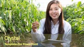  Presentation with agronomist - Presentation with organic electronics - young pretty chinese woman agronomist background and a tawny brown colored foreground