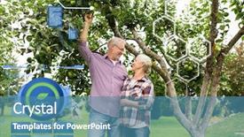  Presentation with organic farming - Slides with organic farming agriculture and people background and a teal colored foreground