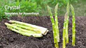  Presentation with organic farming - Colorful presentation design enhanced with organic farming asparagus in black soil backdrop and a tawny brown colored foreground