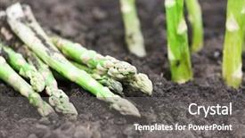  Presentation with asparagus - Colorful presentation enhanced with organic farming asparagus in black soil backdrop and a gray colored foreground